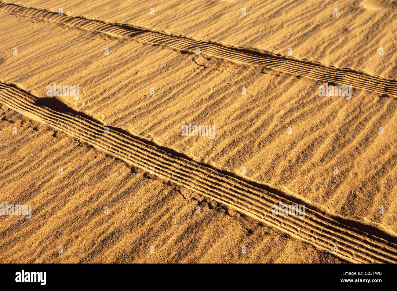 Tire marks in wet sand Stock Photo