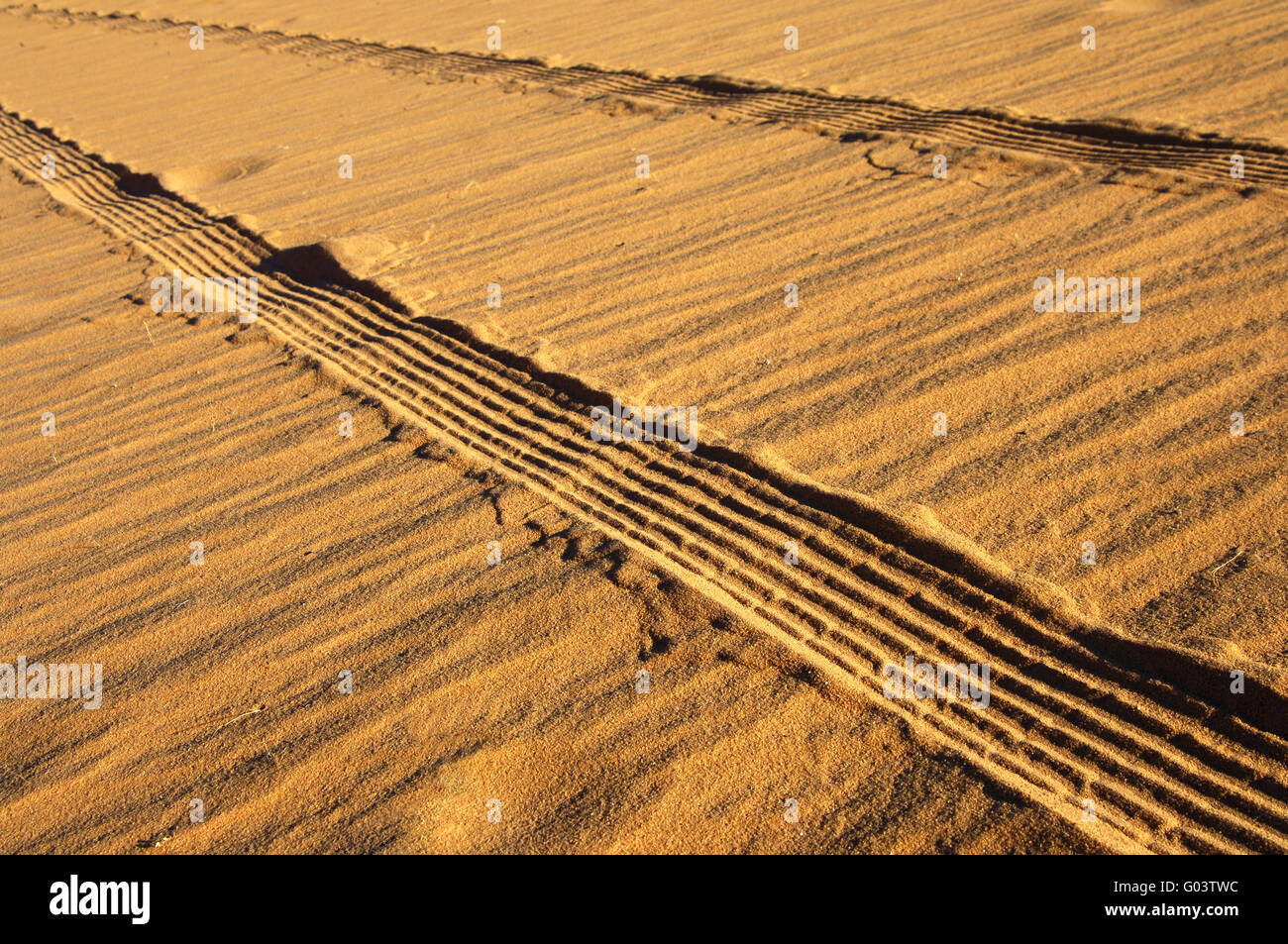Tire marks in wet sand Stock Photo