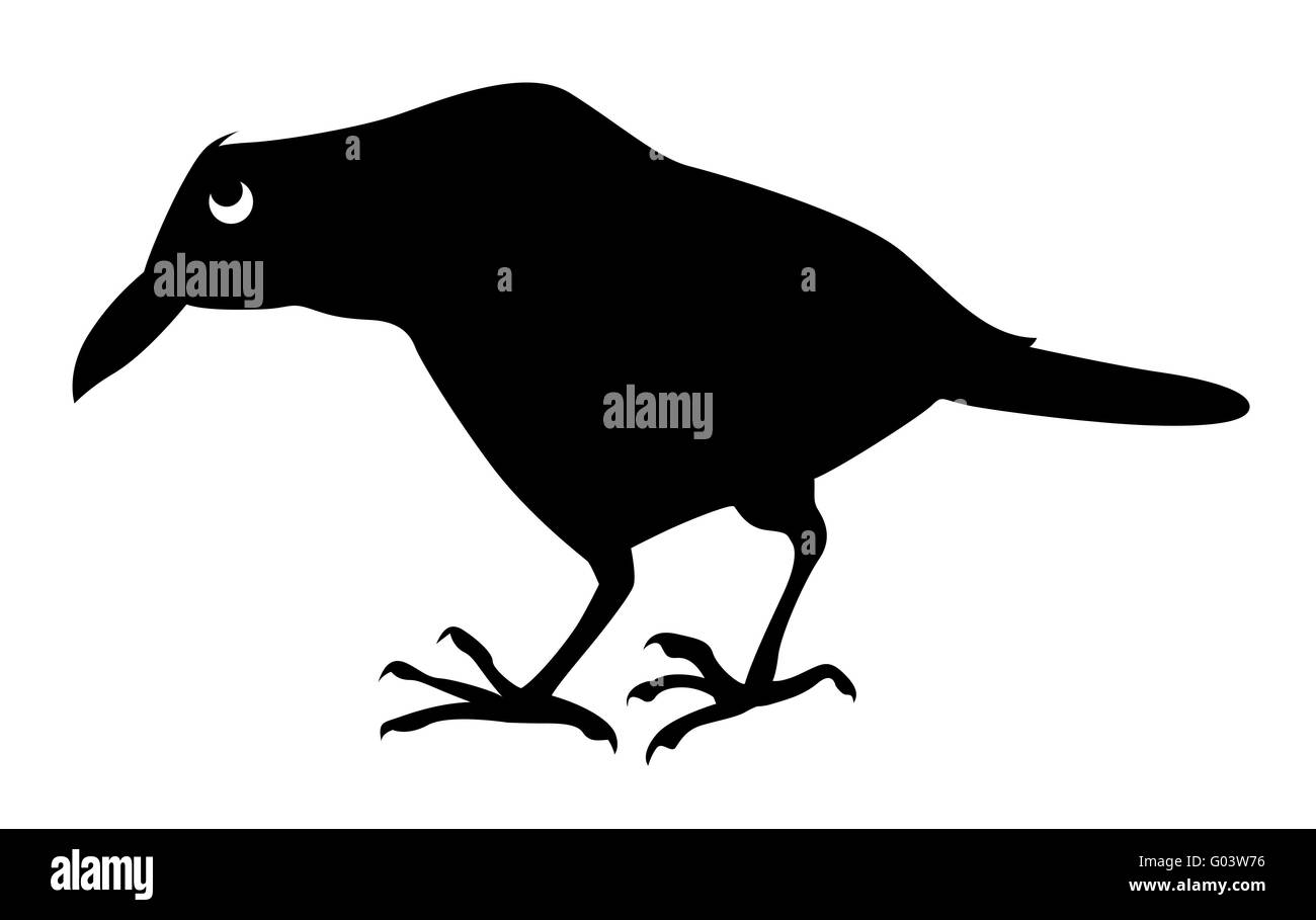 vector silhouette sick ravens on white background Stock Photo