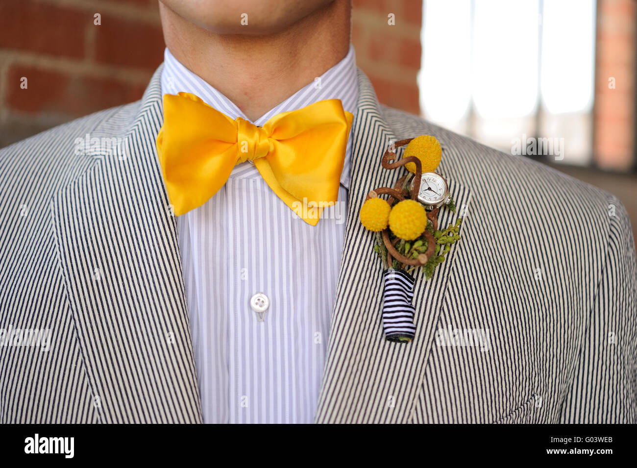 seersucker bowtie