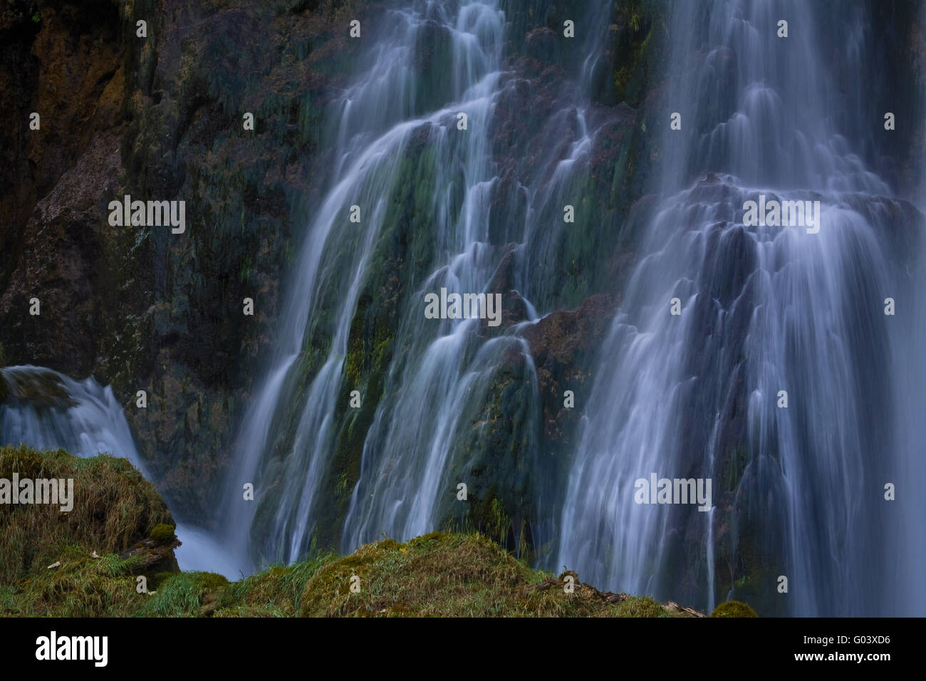 Trees waterfall hi-res stock photography and images - Alamy