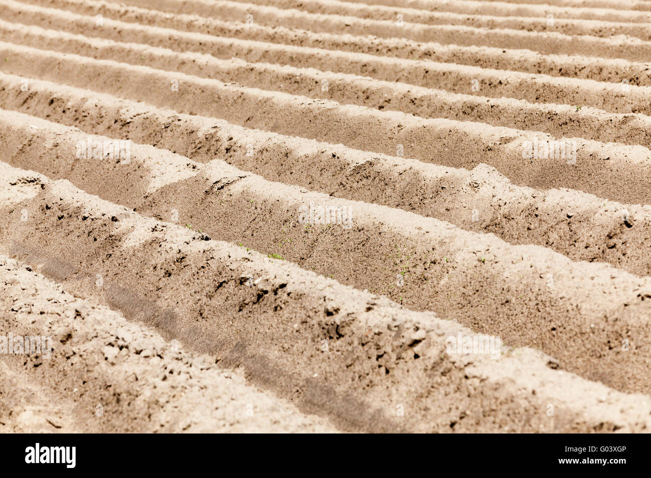 Rough farm land hi-res stock photography and images - Alamy