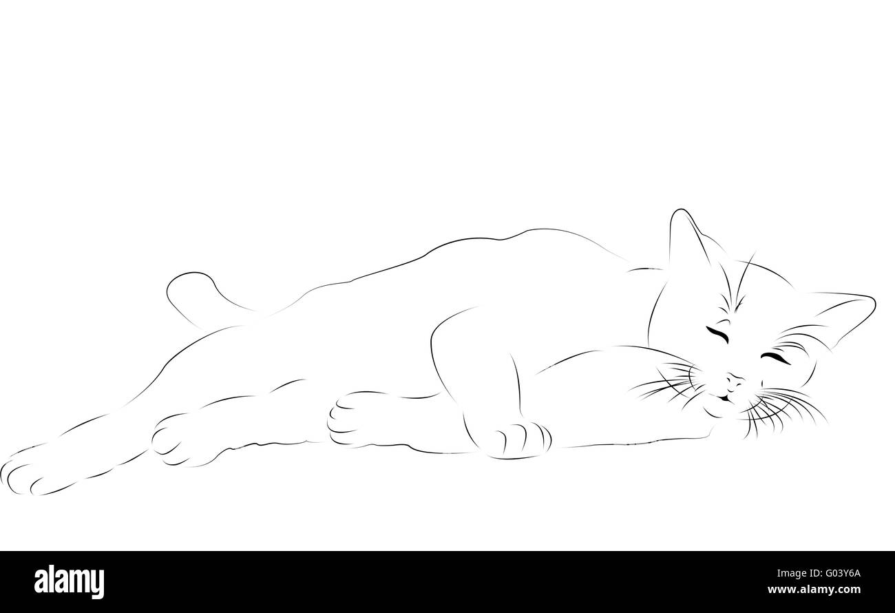 cat as line drawing Stock Photo