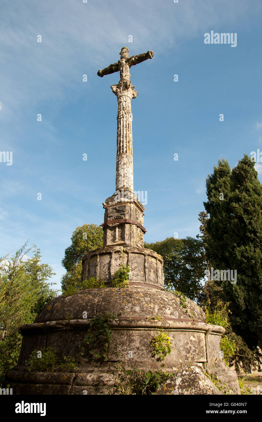 Carthusian cross hi-res stock photography and images - Alamy