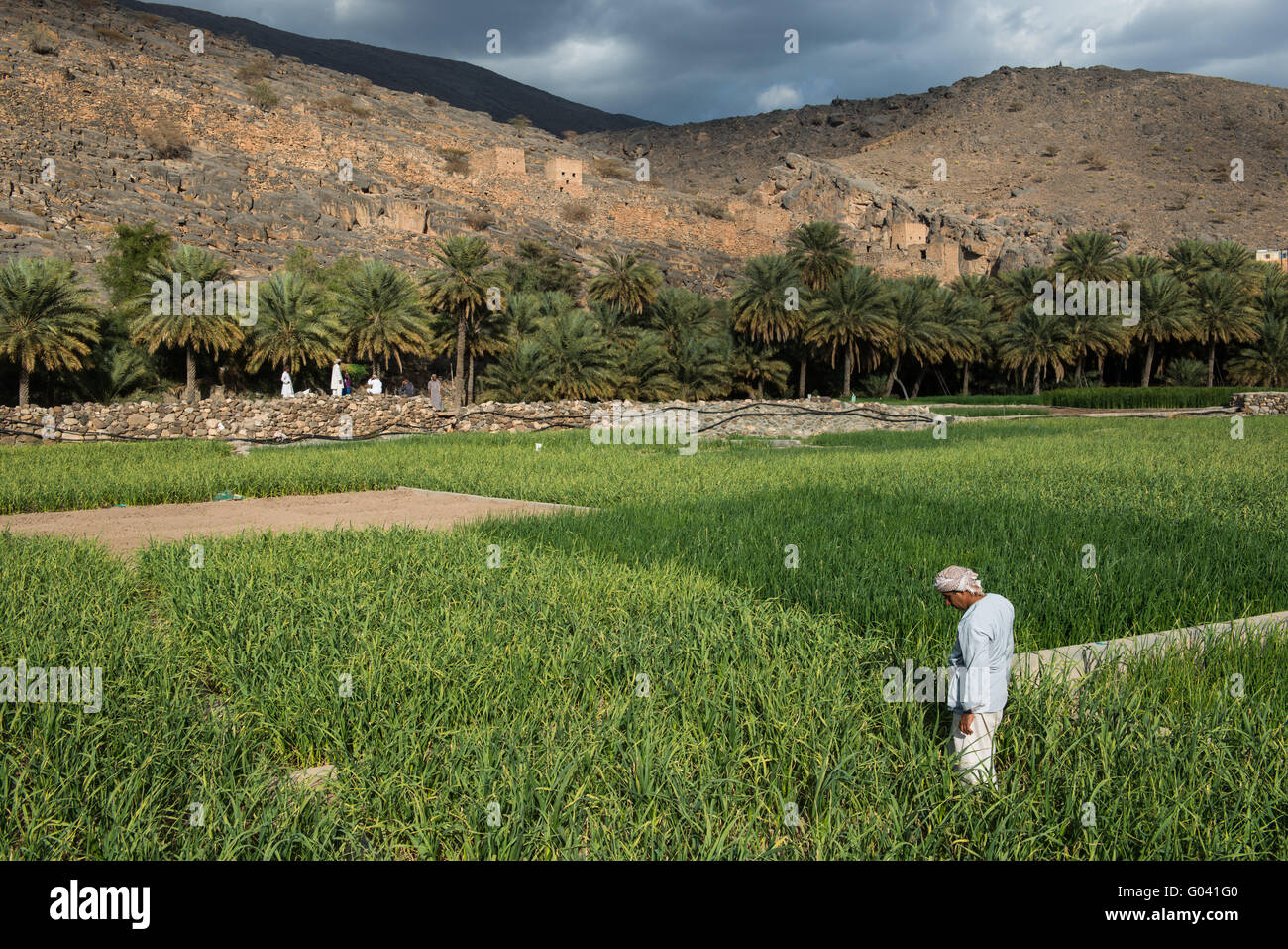 Farmers near Wadi Ghul ruins, Hajar Mountains, Oman. Stock Photo
