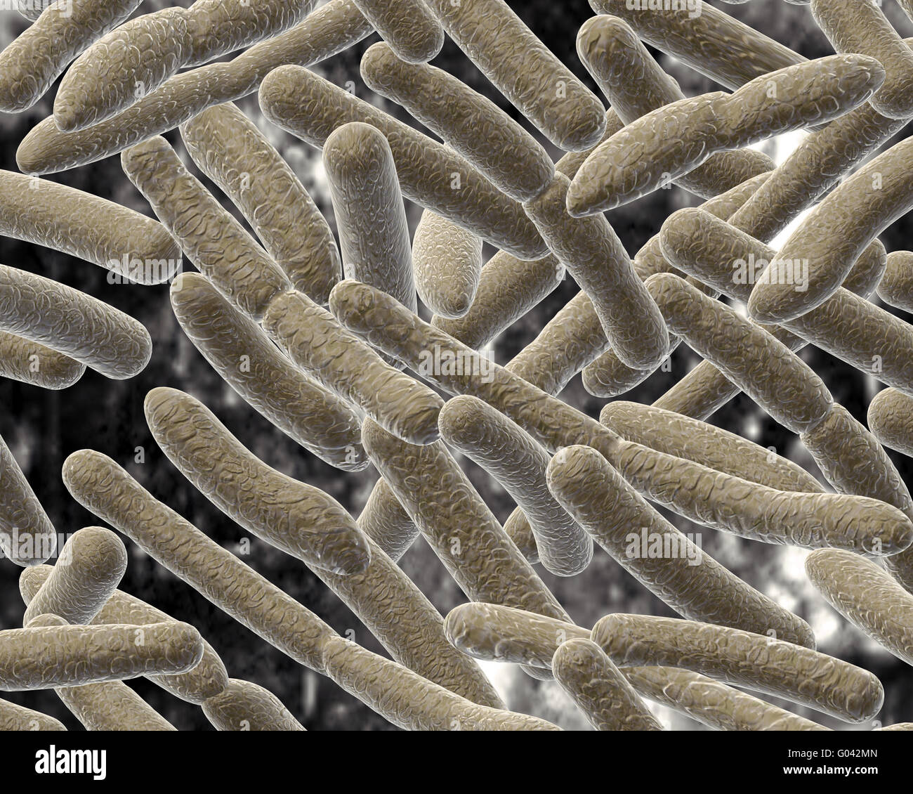 Bacillus on blurred background. Stock Photo