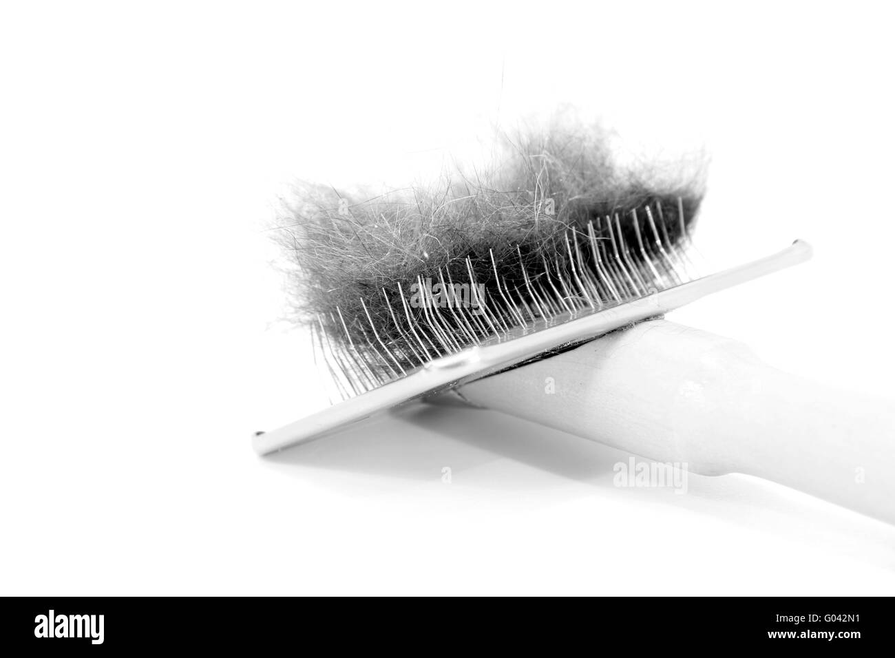 Cat hair in the brush Stock Photo Alamy