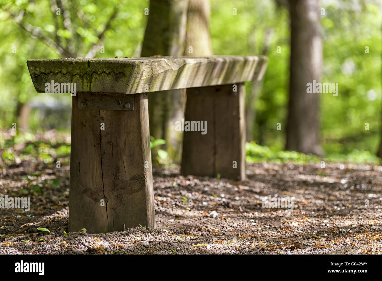 Wooden bench at the edge of a forest path in the s Stock Photo