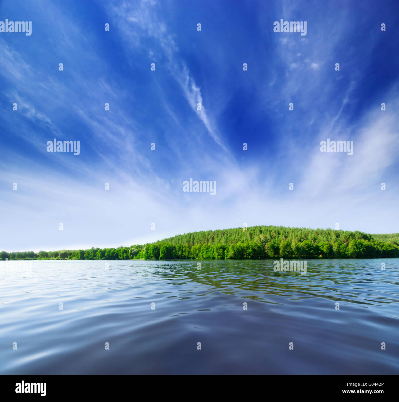 Shore of forest lake under blue sky Stock Photo - Alamy