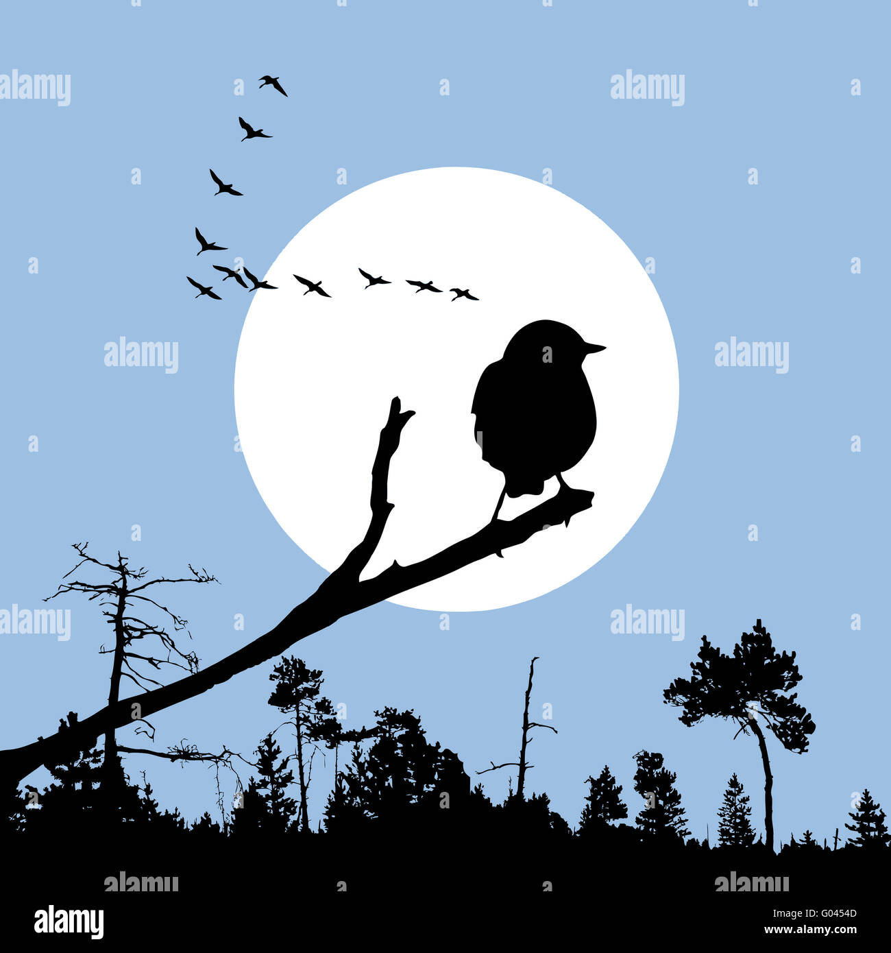 bird on branch silhouette on solar background Stock Photo