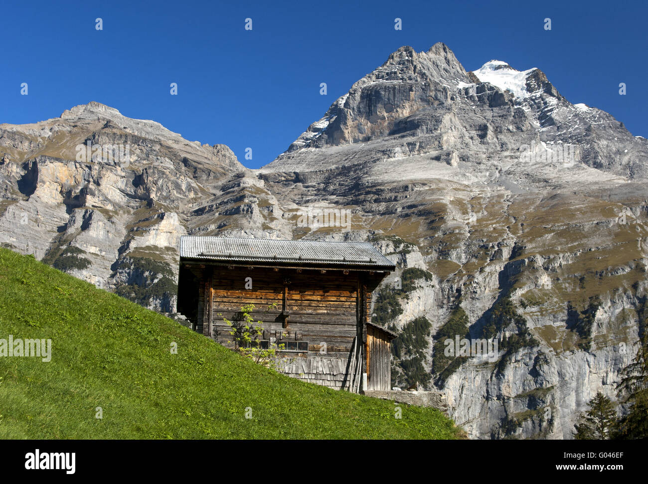 storage house in front of the Jungfrau Massif Stock Photo