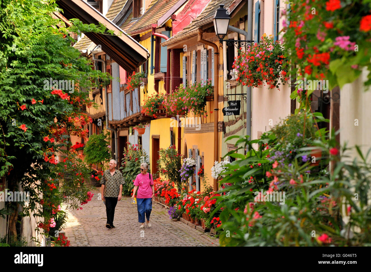 Halftimbered houses, old town, Rue du Rempart, Eguisheim, Alsace