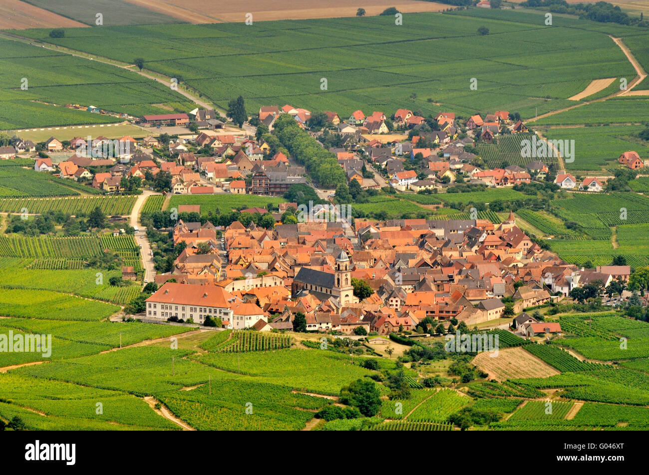 Saint Hippolyte, vineyards, Alsace, France / SaintHippolyte Stock