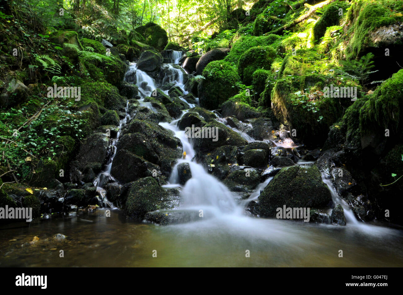 Waterfall, Murg Valley, Nature Park southern Black Forest, Black Forest, BadenWurttemberg