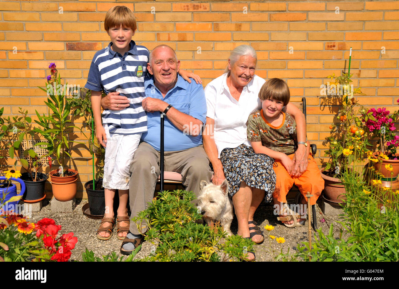 Grandparents, children, grandchild, grandchildren, grandma, grandmother, grandfather, granddad, grandpa, family, generations, dog, garden, idyll Stock Photo