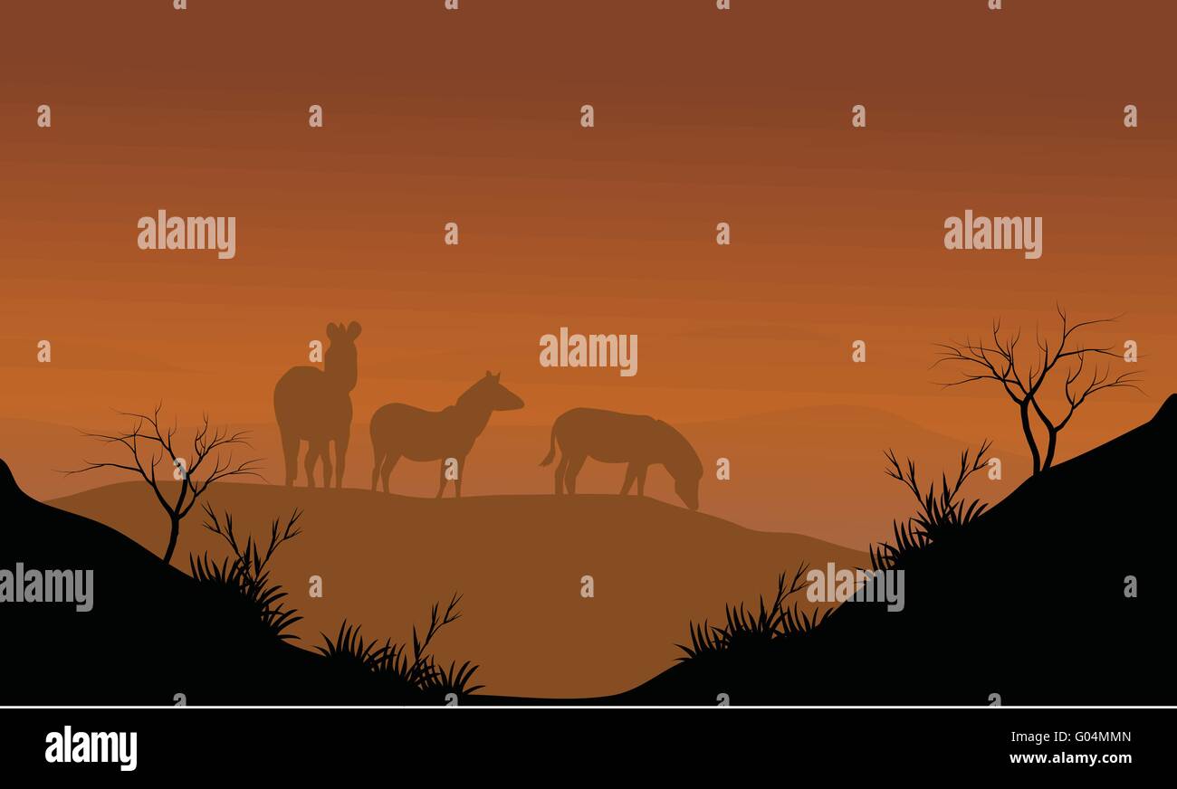 Zebra silhouette in hills Stock Vector Image & Art - Alamy