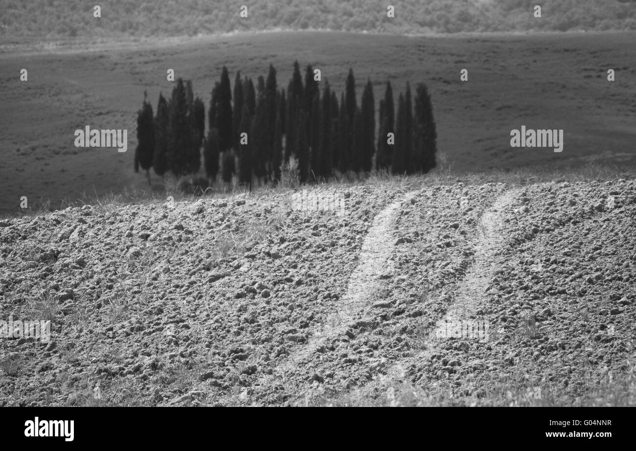 landmark tuscany Stock Photo