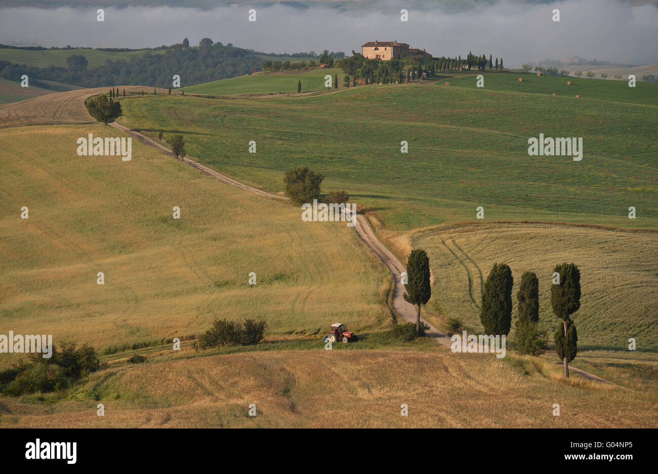beautiful landscape of Tuscany Stock Photo
