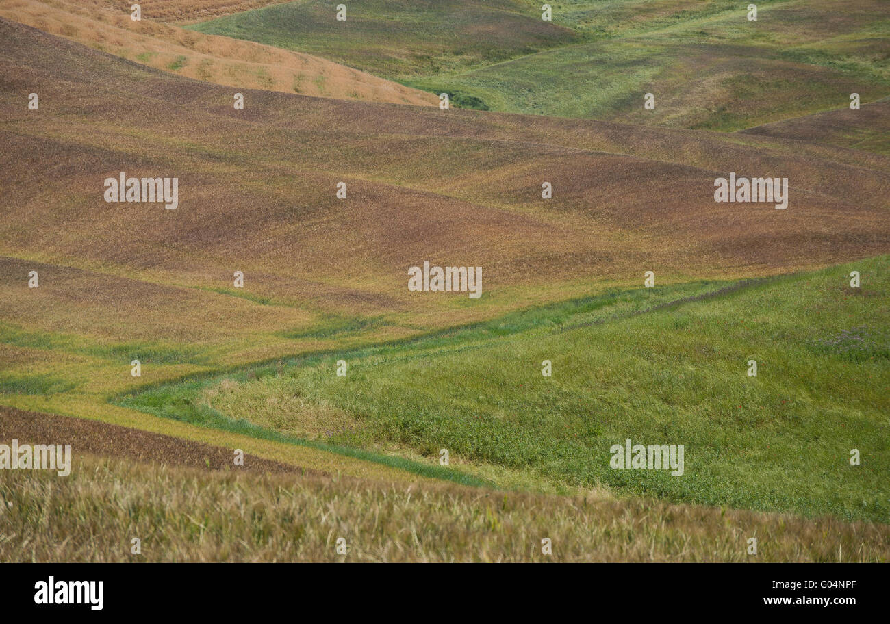 fields of tuscany Stock Photo