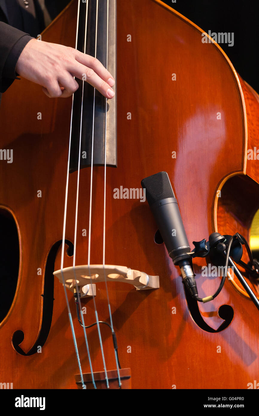 Acoustic double bass player Stock Photo Alamy