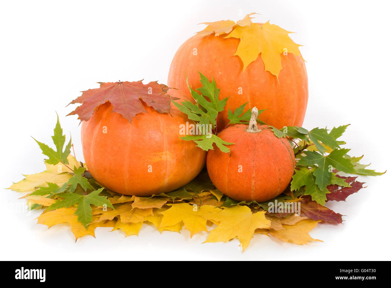 Pumpkins with fall leaves on white background Stock Photo - Alamy