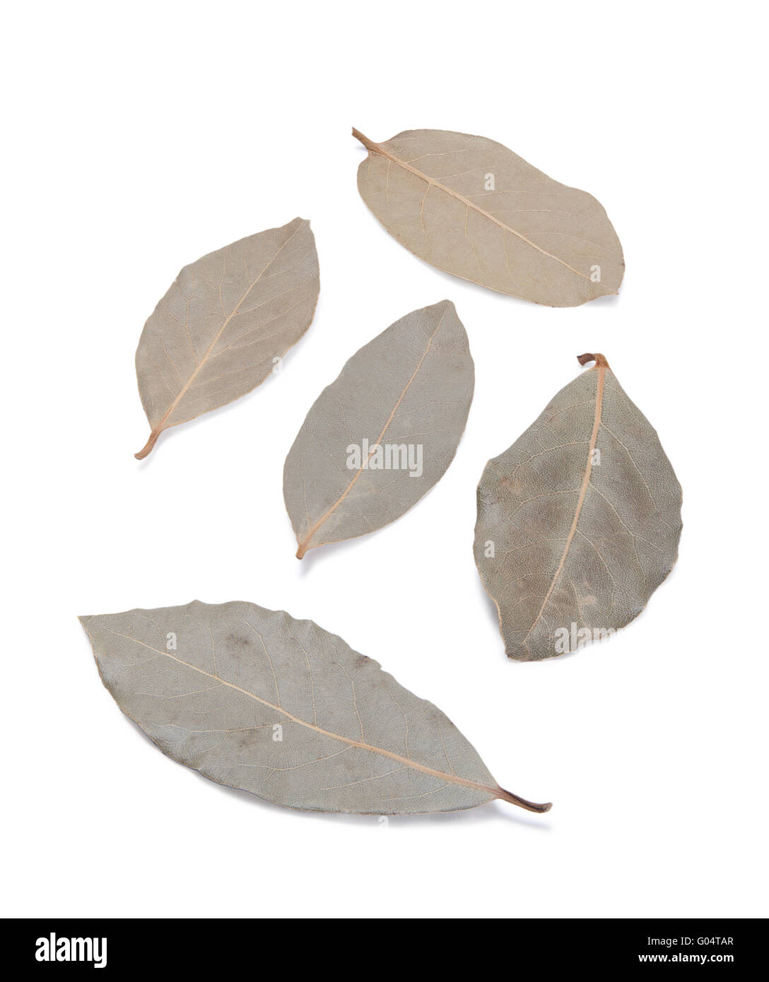Dried bay leaves Stock Photo Alamy
