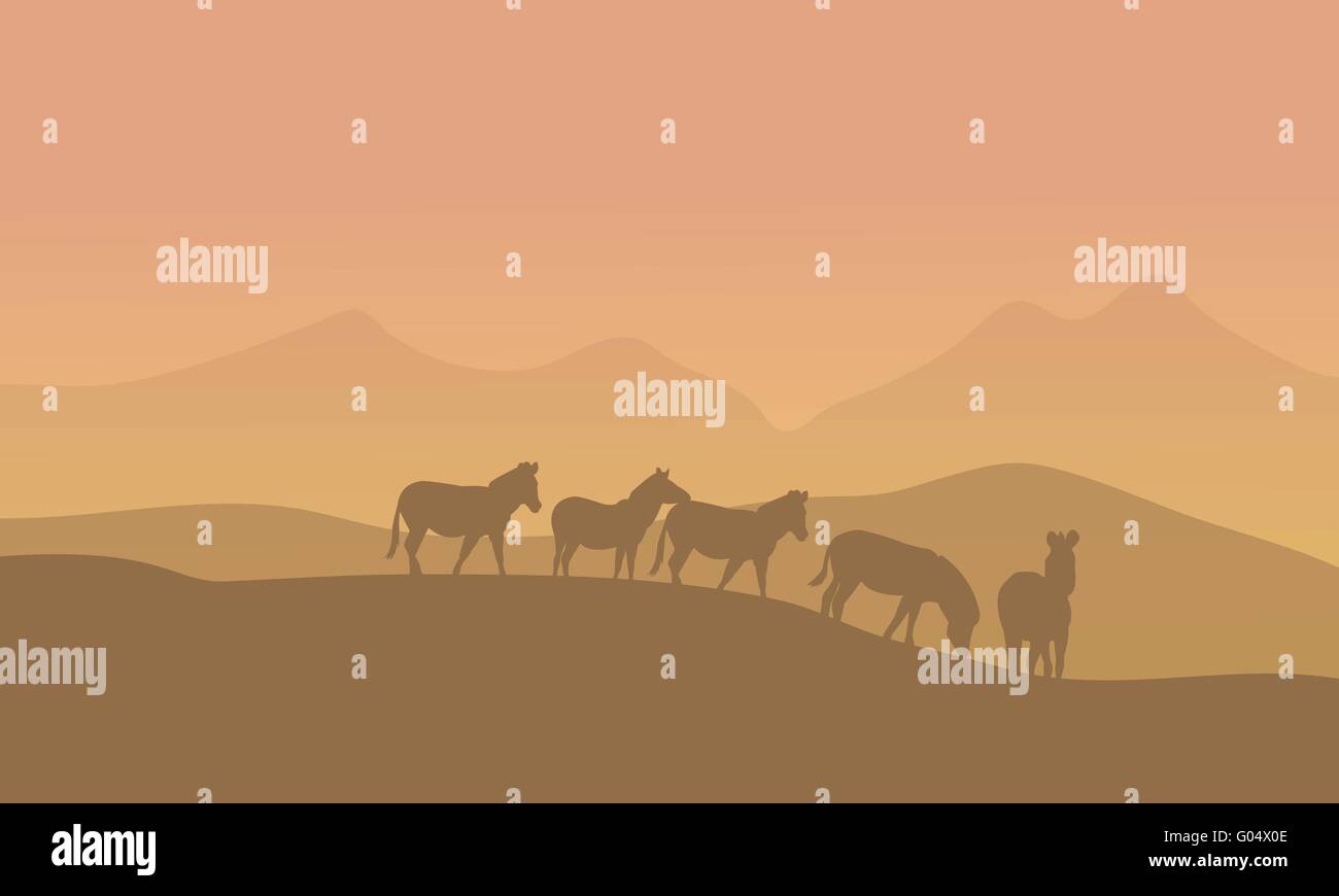 Zabra in desert scenery Stock Vector Image & Art - Alamy