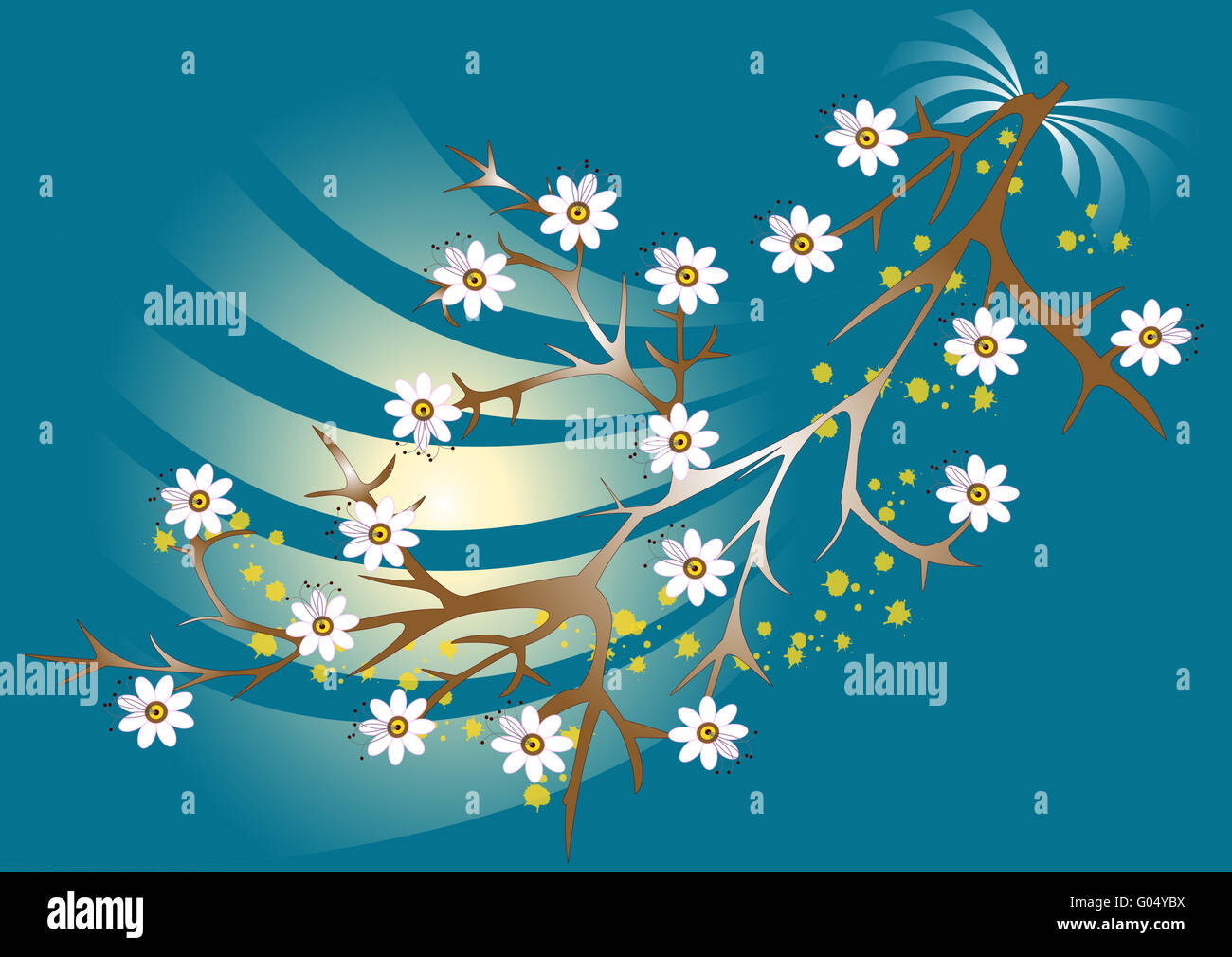 White flowers blooming branch on blue background Stock Photo - Alamy