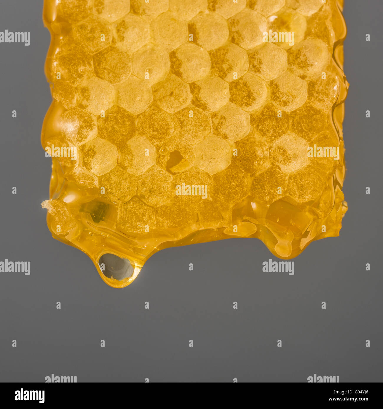 Natural honeycomb full of honey Stock Photo