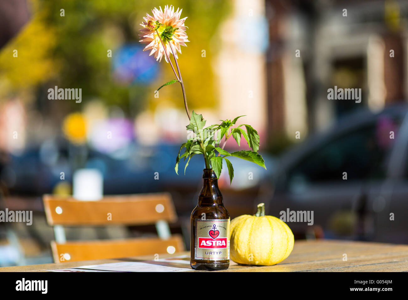 Beer Bottle As A Flower Vase Stock Photo 103375628 Alamy