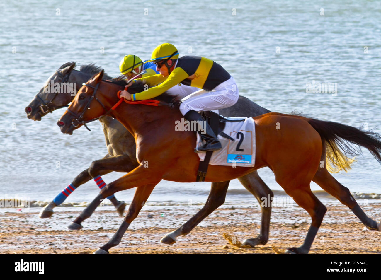 Quick horse hires stock photography and images Alamy