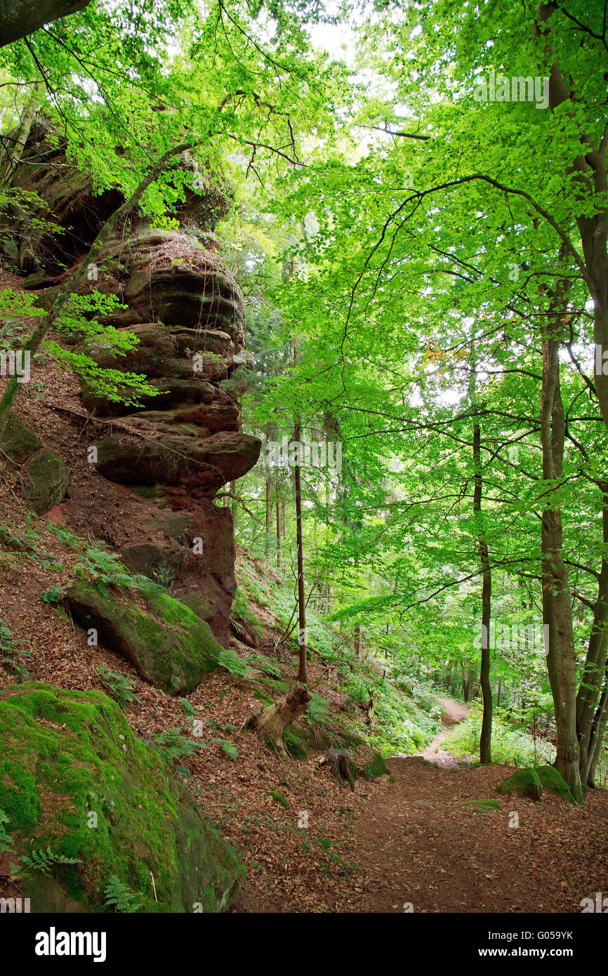 The Trail. Germany Stock Photo Alamy