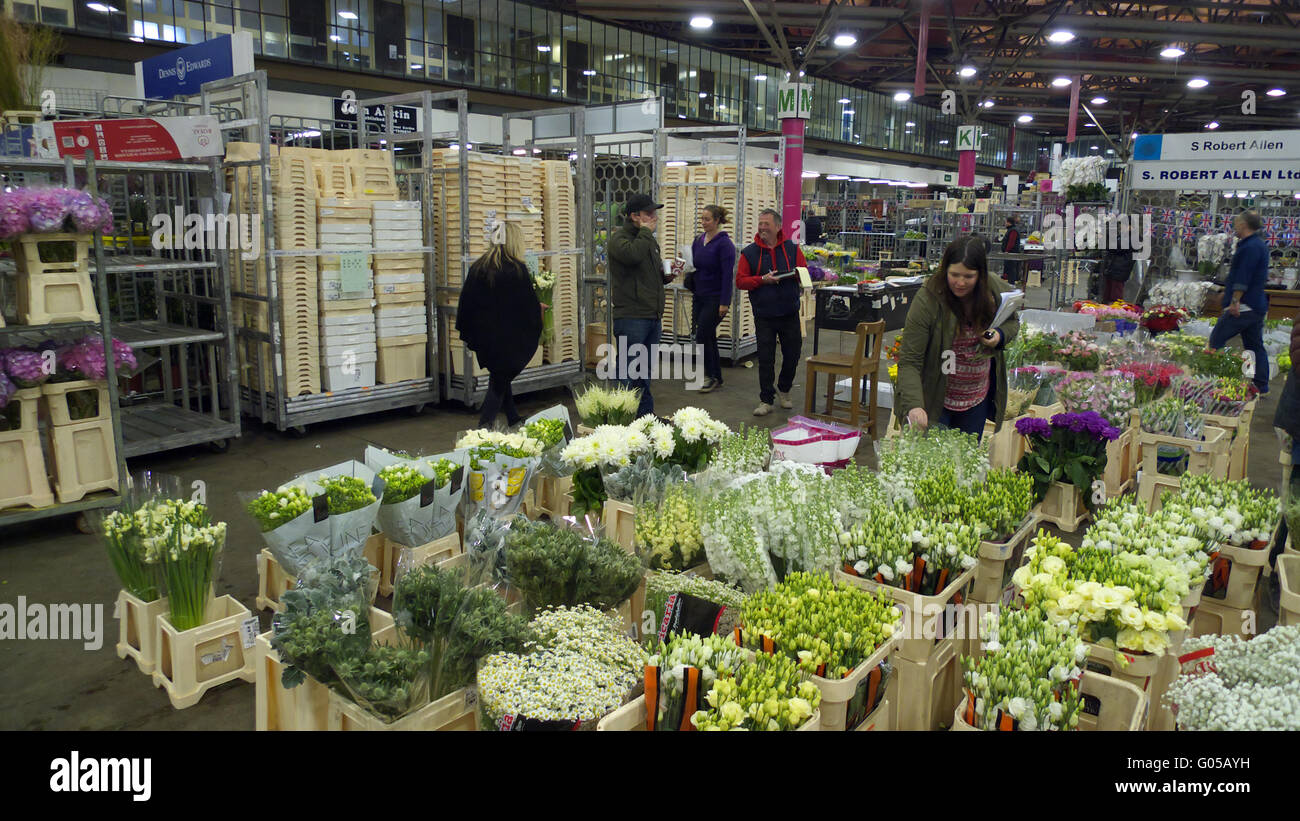 Cut flowers on sale at New Covent Garden Market, London Stock Photo