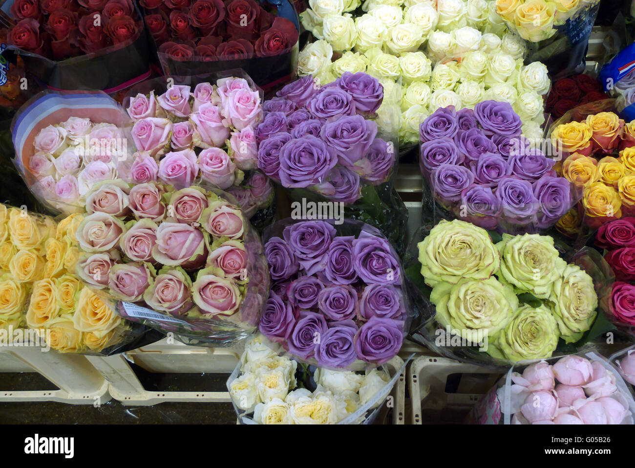 Range of roses on sale at New Covent Garden Market, London, UK Stock