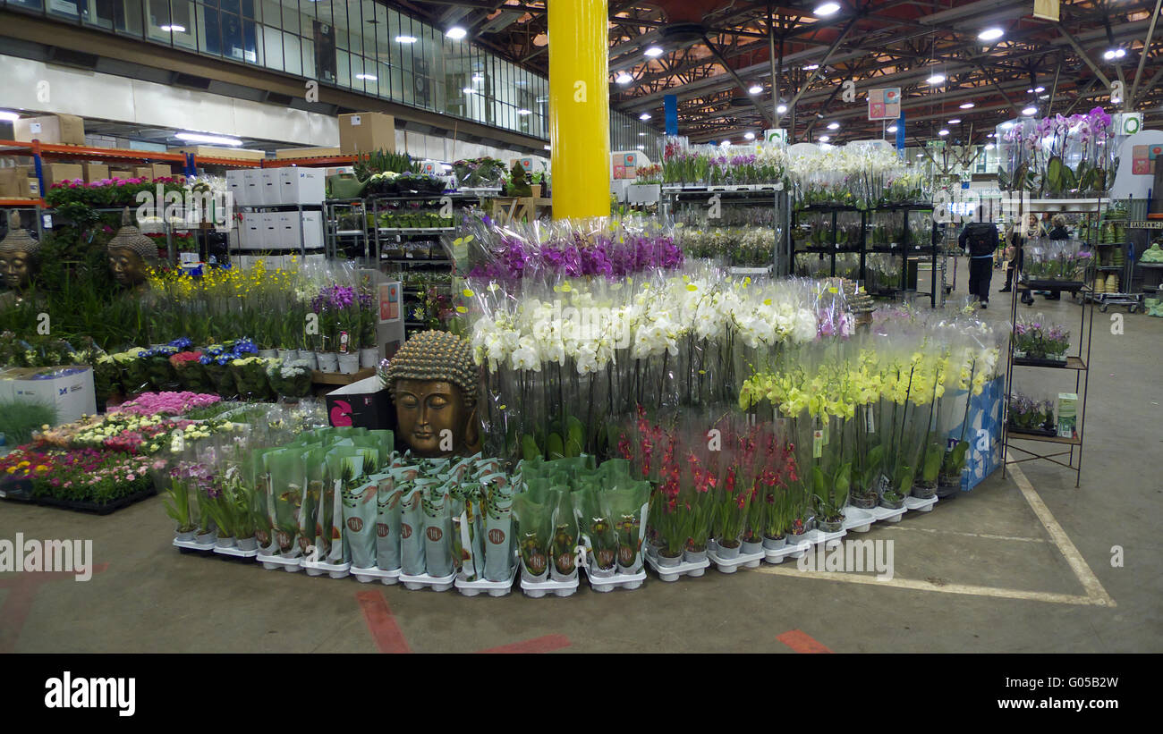 Plant stall at New Covent Garden Market, London Stock Photo Alamy