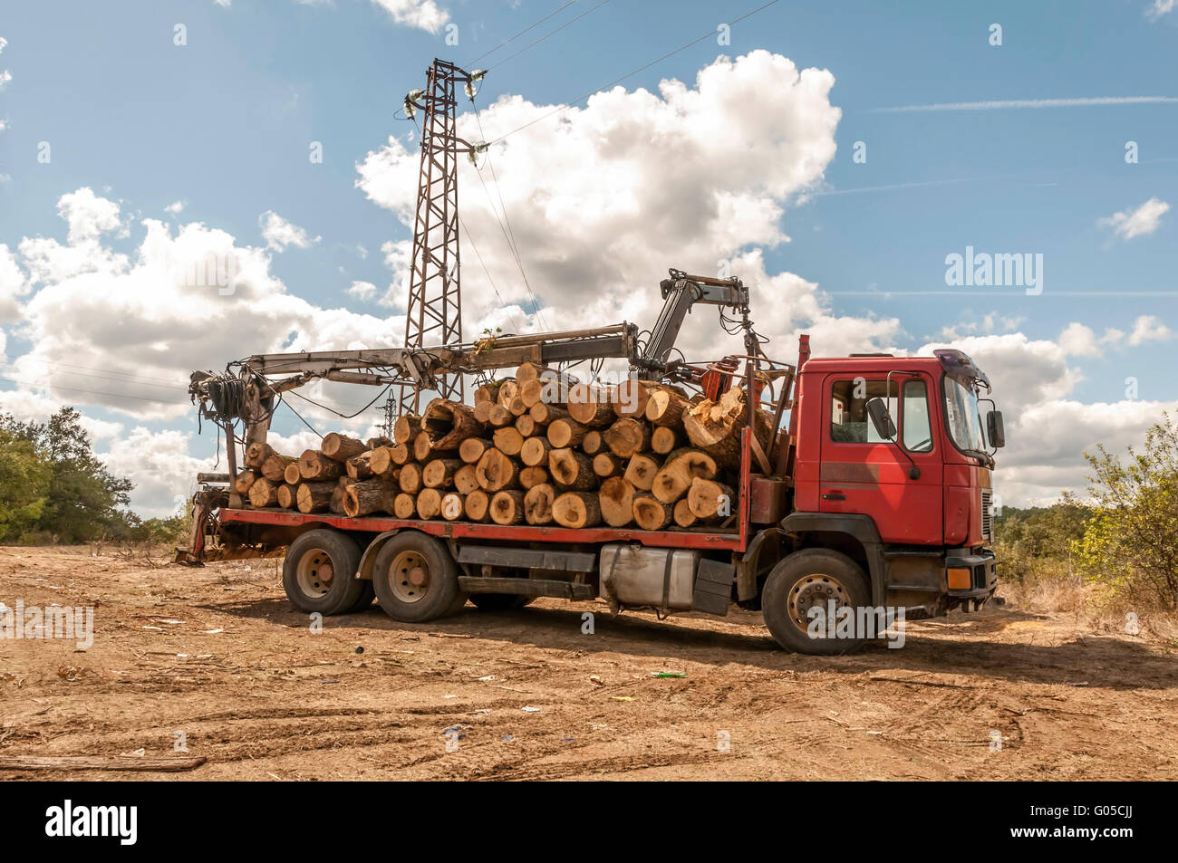 Loading of felled timber in a truck with crane Stock Photo - Alamy