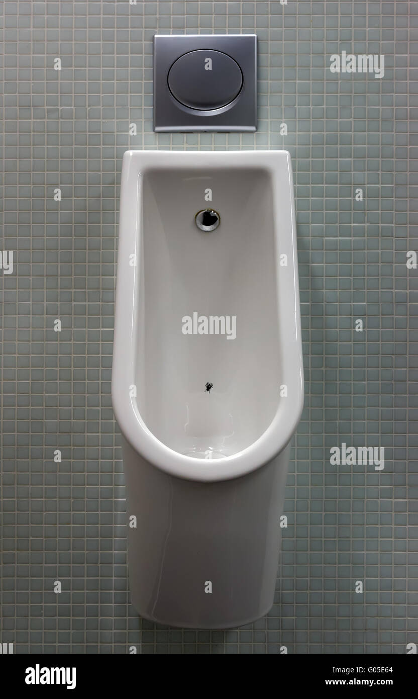 urinal with white painted a fly on the toilet Stock Photo Alamy