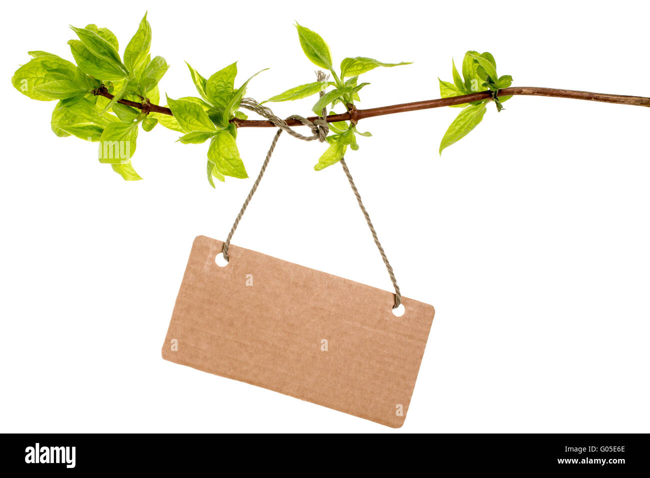 Blank tag with string isolated on white background