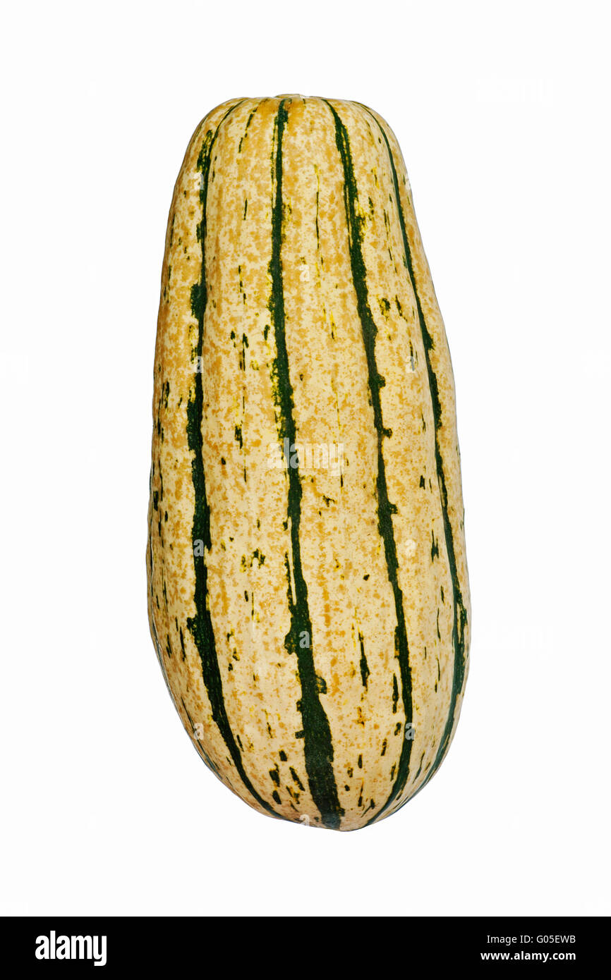 Delicata squash Stock Photo