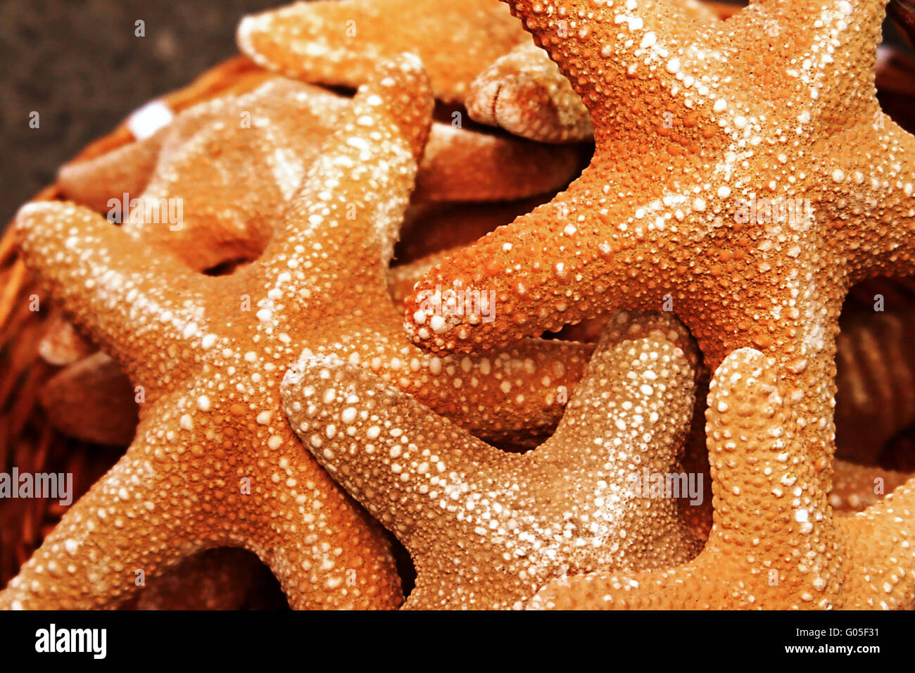 Dried Starfishes Stock Photo