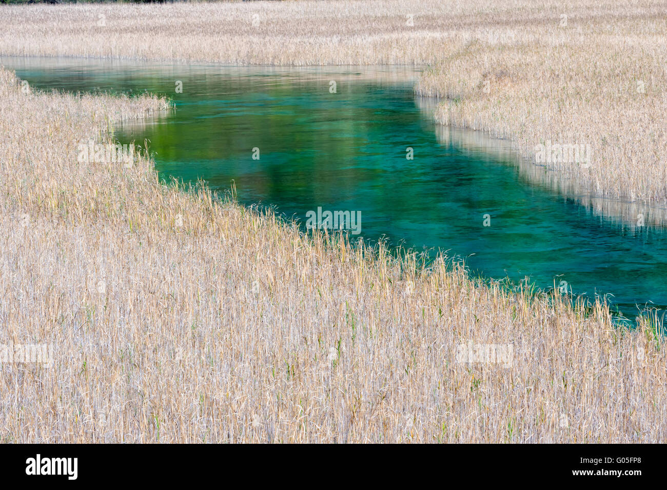 Reed Lake, Jiuzhaigou National Park, Sichuan Province, China, Unesco World Heritage Site Stock Photo