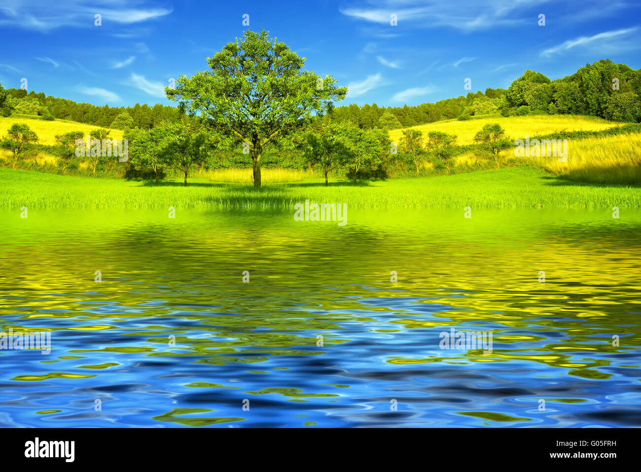 Beautiful green grass meadow hi-res stock photography and images - Alamy