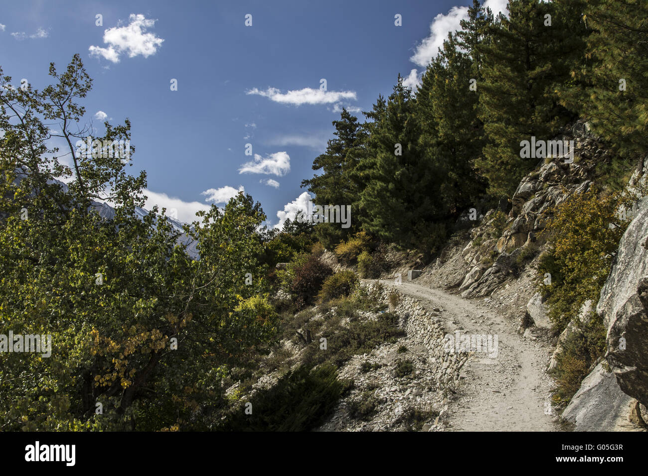 Pathway in the Bhagirathi valley Stock Photo