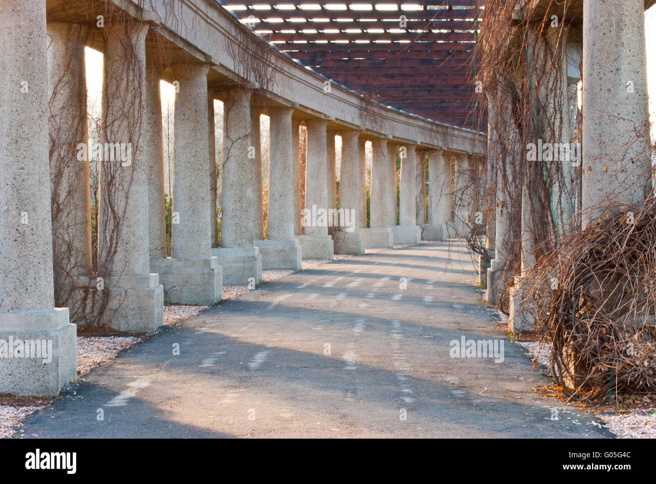 route between columns Stock Photo - Alamy