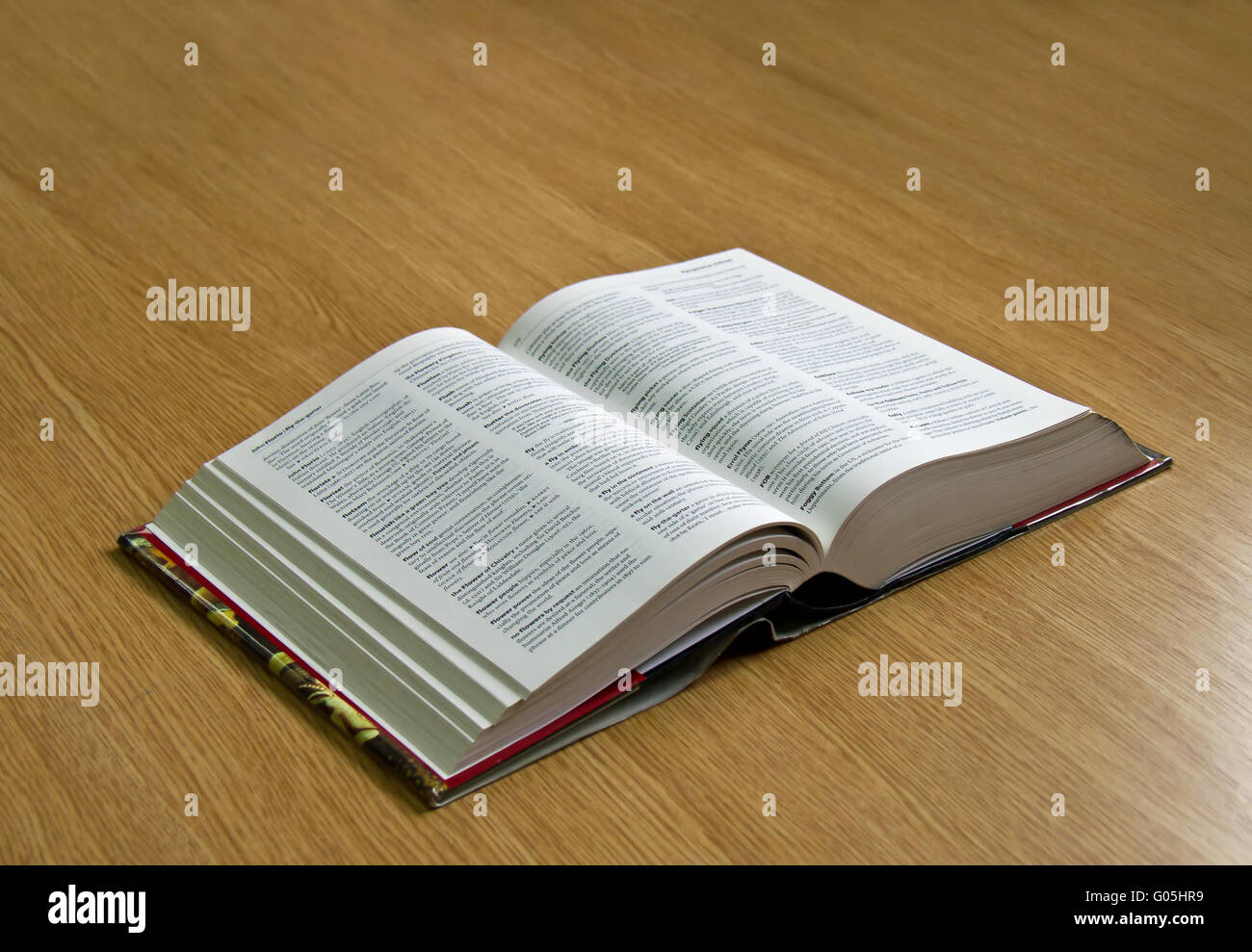 Reference book dictionary with pages open symbolising learning Stock Photo