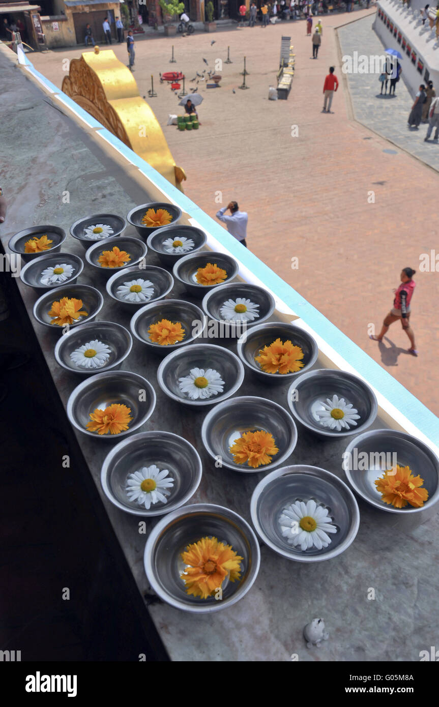 wax flowers in nepal Stock Photo Alamy