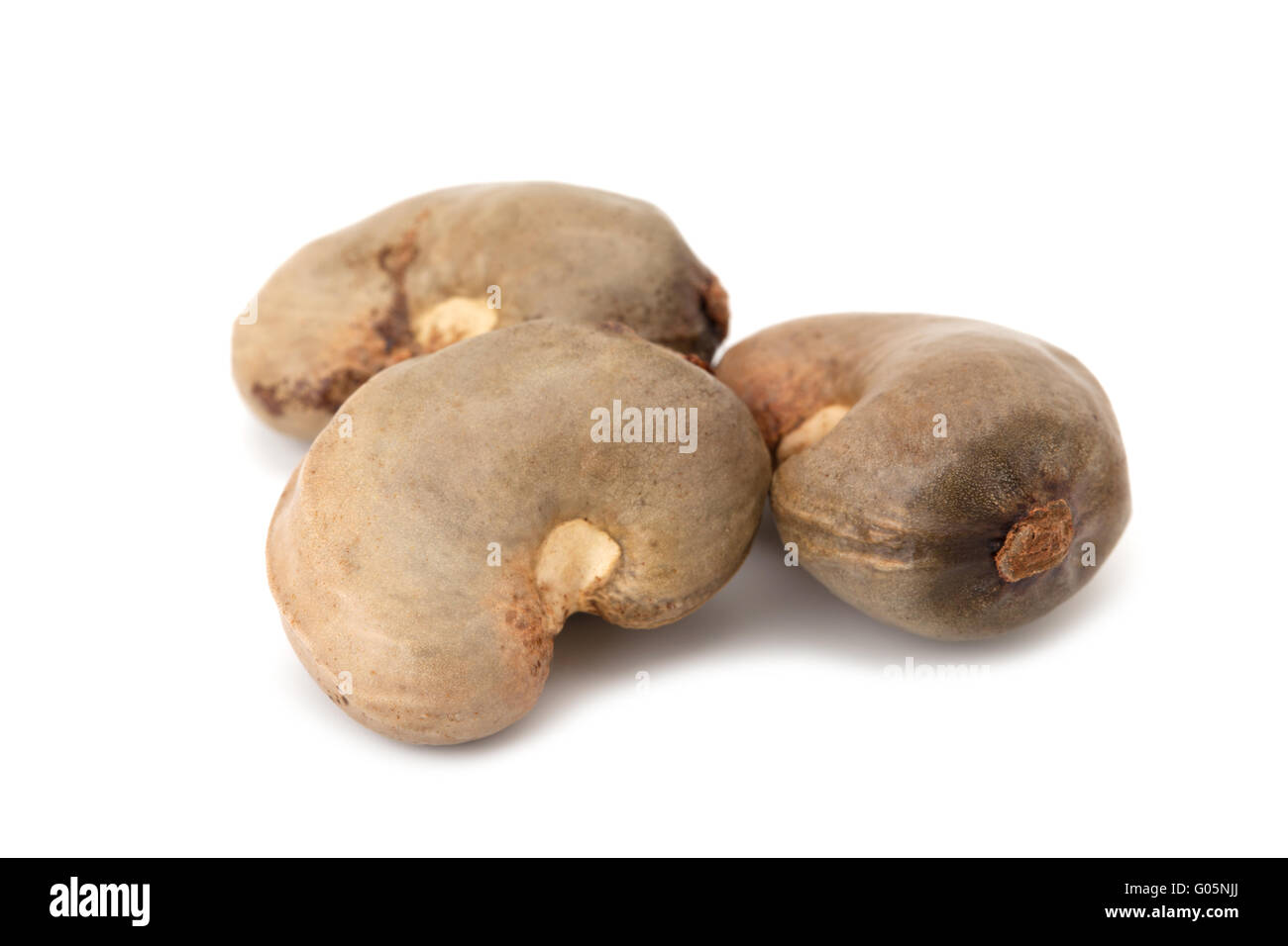 Cashew seed hi res stock photography and images Alamy