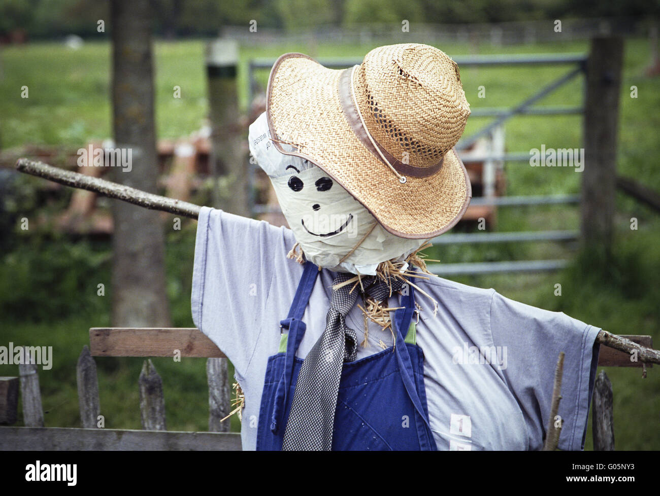 Stylish scarecrow with tie and hat Stock Photo