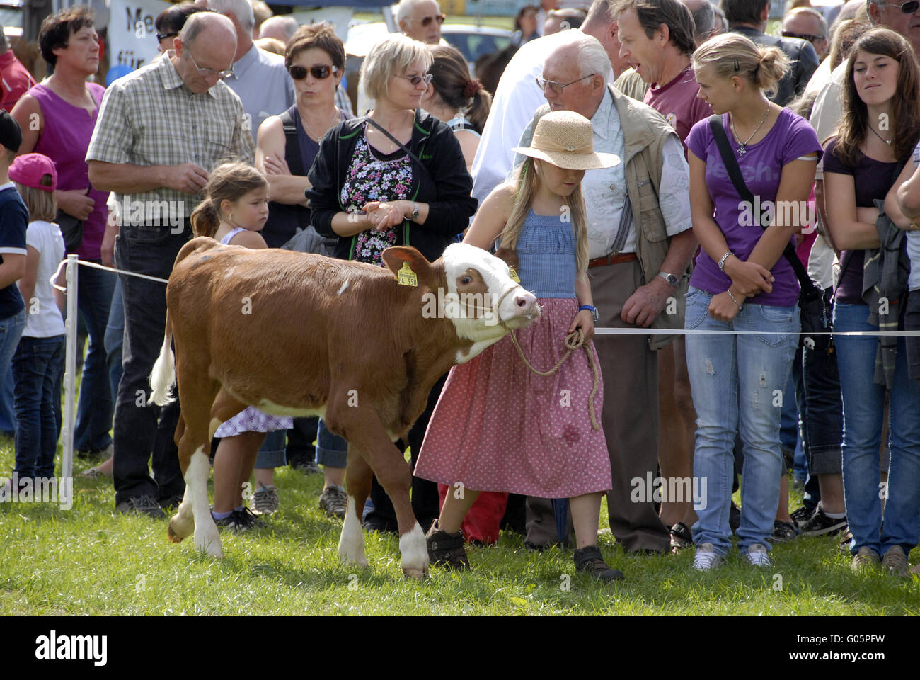 Cattle Market Stock Photo