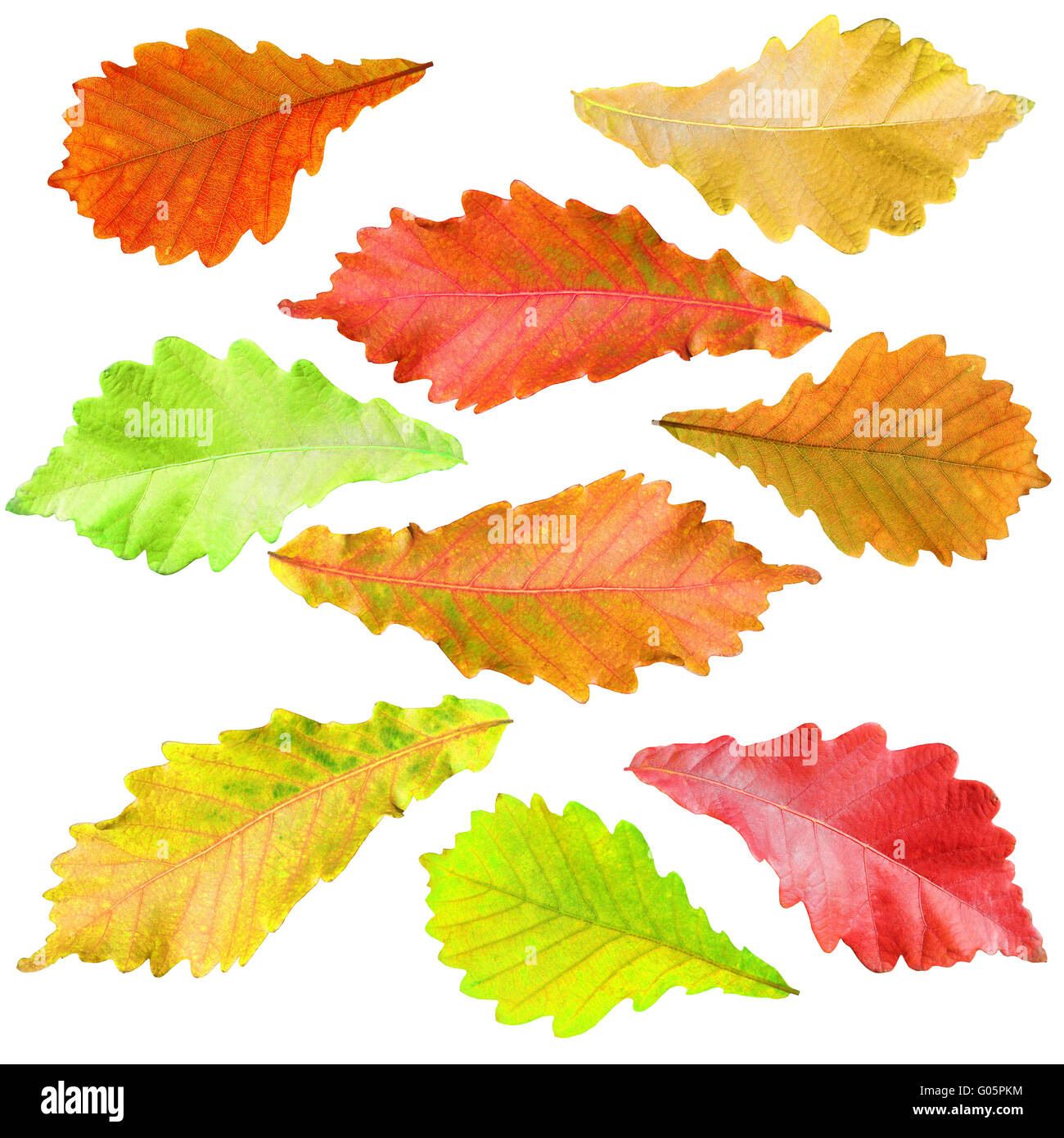 Forest icon collection Cut Out Stock Images Pictures Alamy
